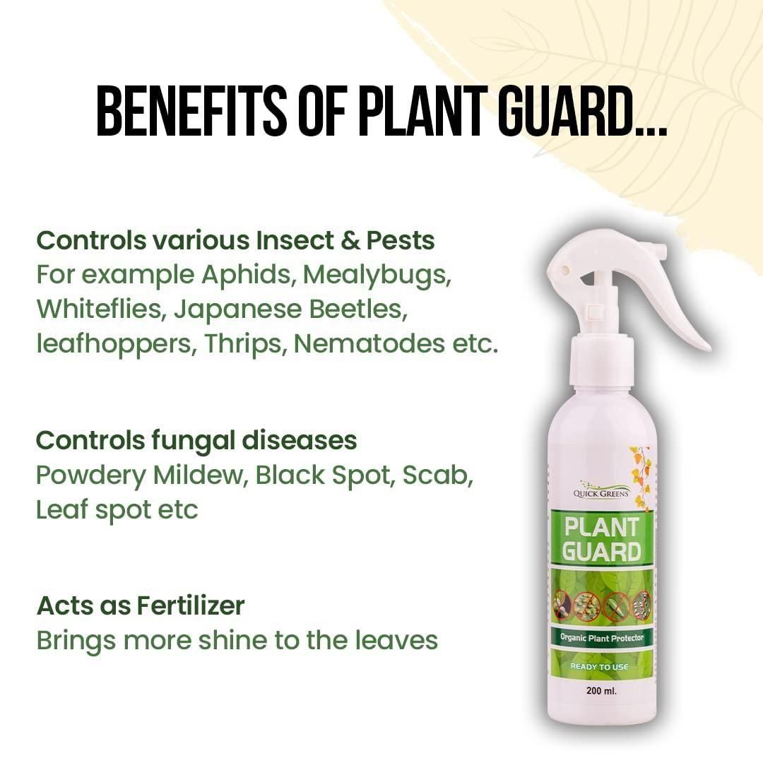 360Protect™ - Pure Neem Plant Protection Spray 🌱✨ (Buy 1 Get 1 Free🔥🔥)