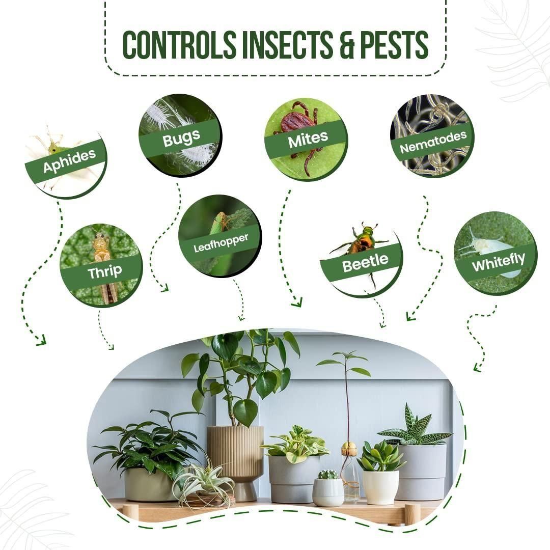360Protect™ - Pure Neem Plant Protection Spray 🌱✨ (Buy 1 Get 1 Free🔥🔥)