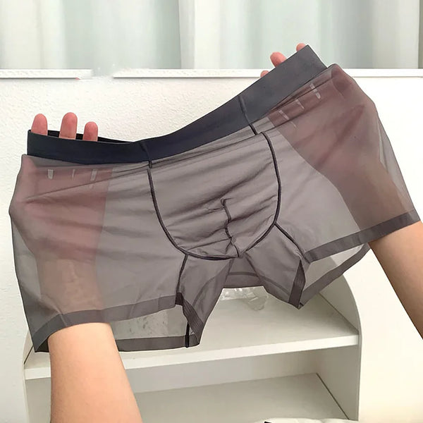 Men's Ice Silk Breathable Briefs (Pack of 5)